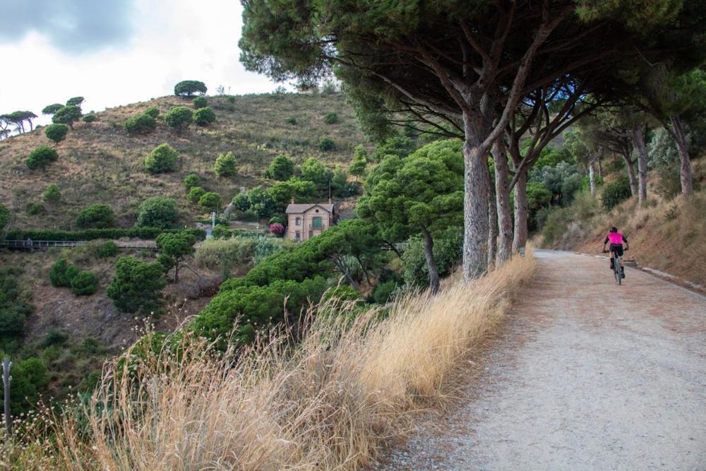 Cerdanyola Ripollet Barcelona Appartamento Esterno foto
